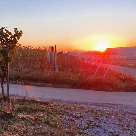 Ferienwohnung Weingut Will Und Wuerz Lemberger Schwaigern Exterior foto