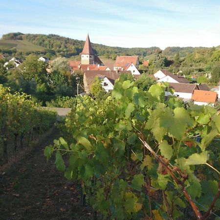 Ferienwohnung Weingut Will Und Wuerz Lemberger Schwaigern Exterior foto