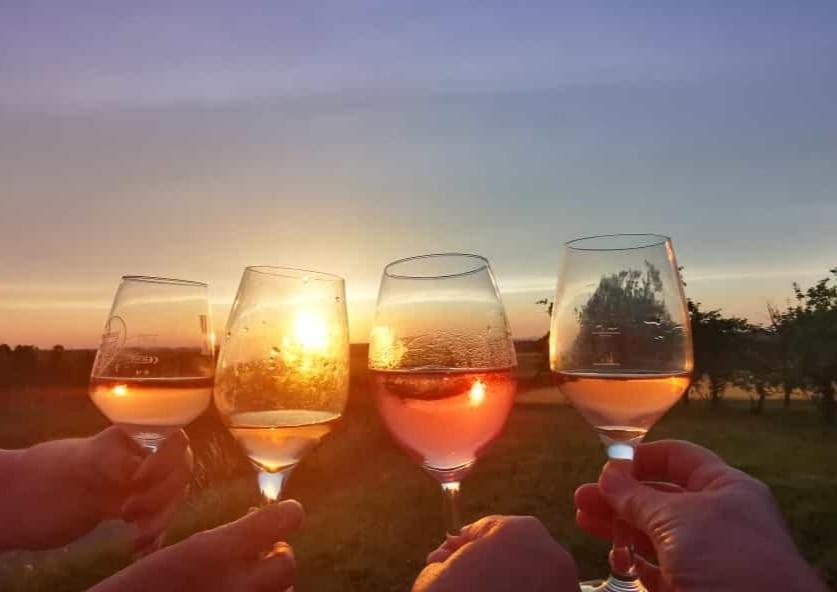 Ferienwohnung Weingut Will Und Wuerz Lemberger Schwaigern Exterior foto