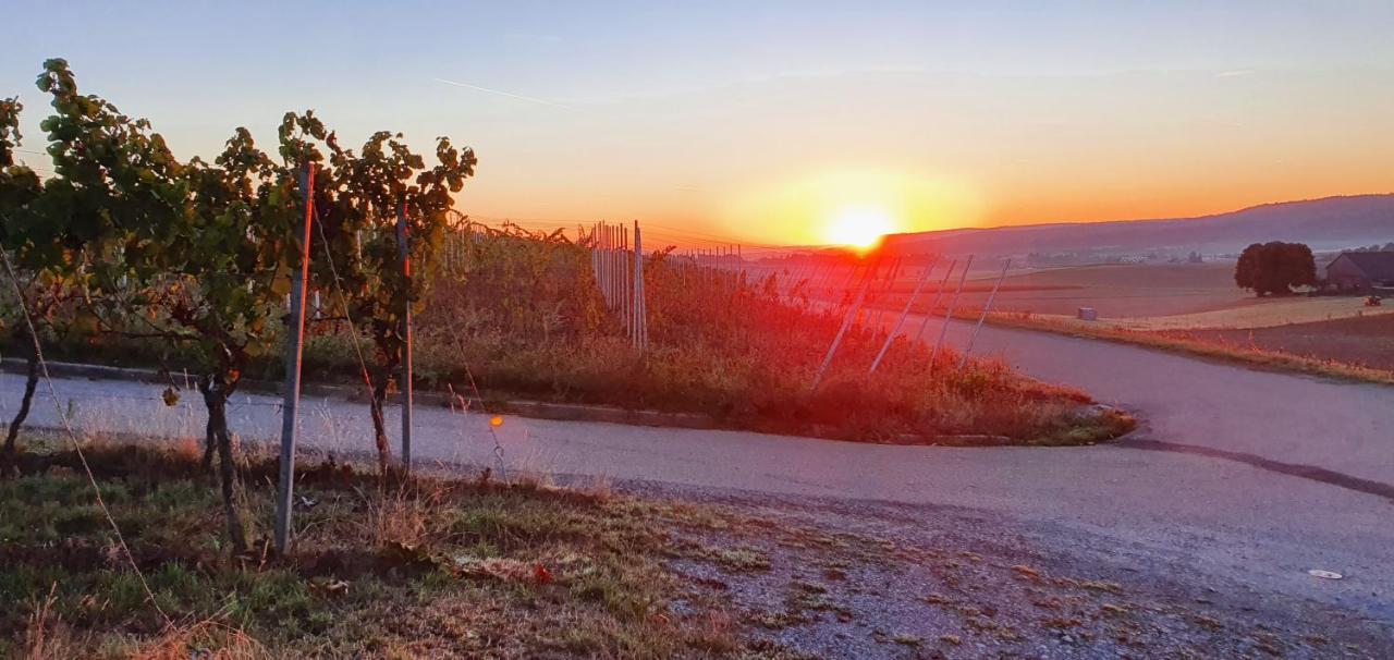 Ferienwohnung Weingut Will Und Wuerz Lemberger Schwaigern Exterior foto
