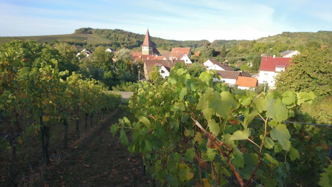 Ferienwohnung Weingut Will Und Wuerz Lemberger Schwaigern Exterior foto